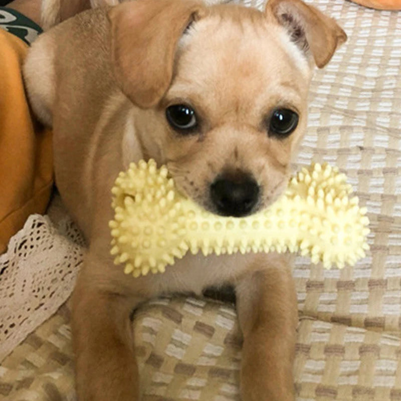 Paw Dent Chew