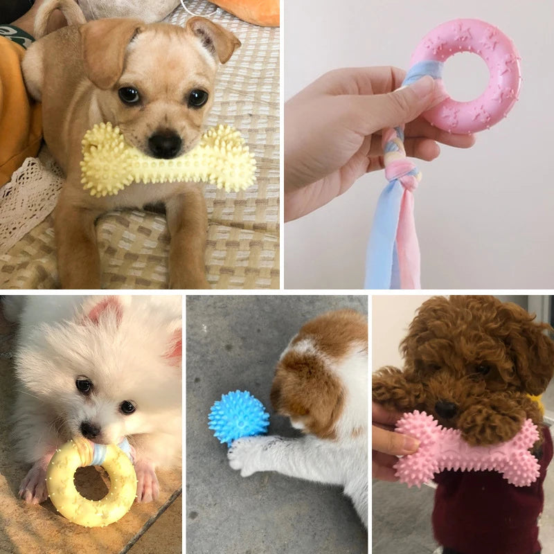Paw Dent Chew