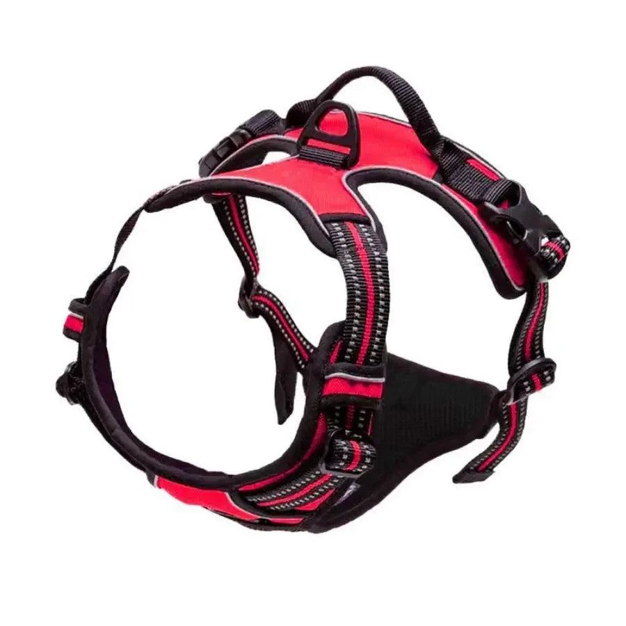 Control Fit Harness