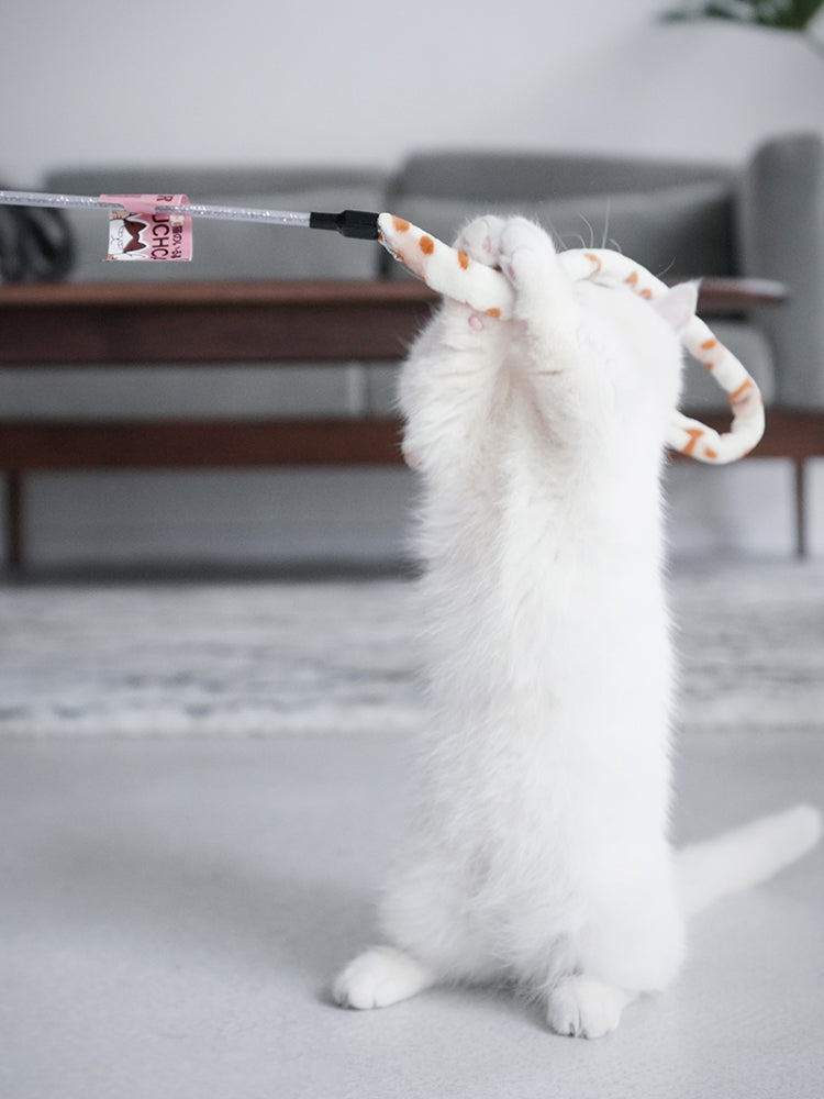 Caterpillar Whisker Toy