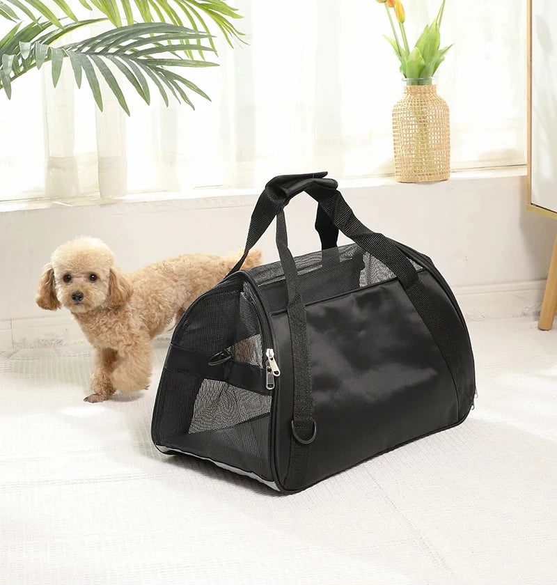 Breathe Easy Carrier