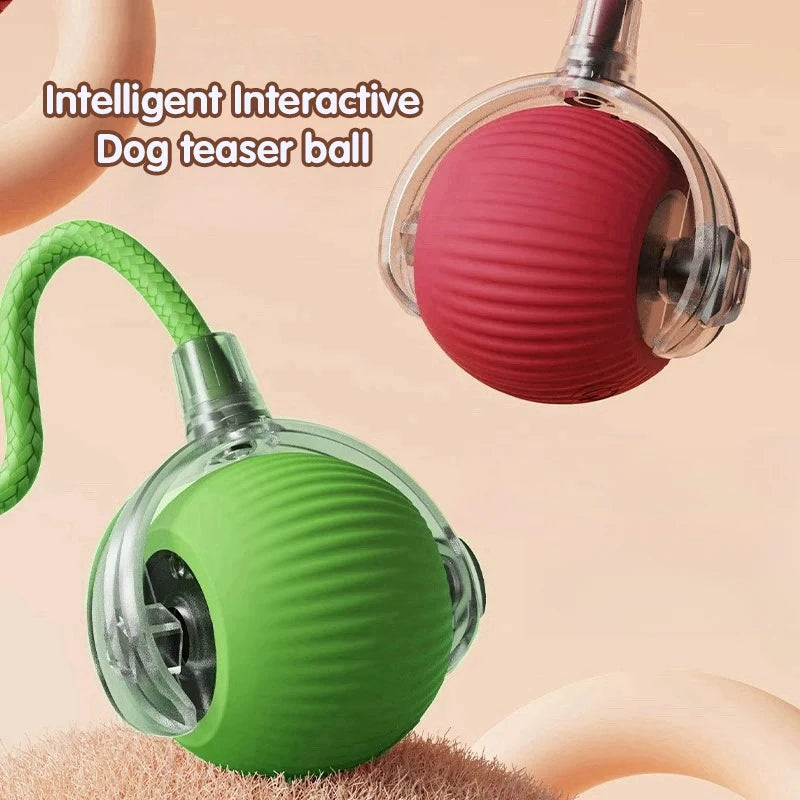 Paw Tease Smart Ball