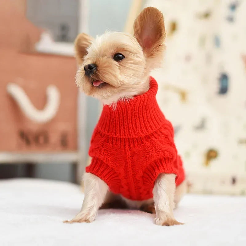 Pup Stitch Sweater