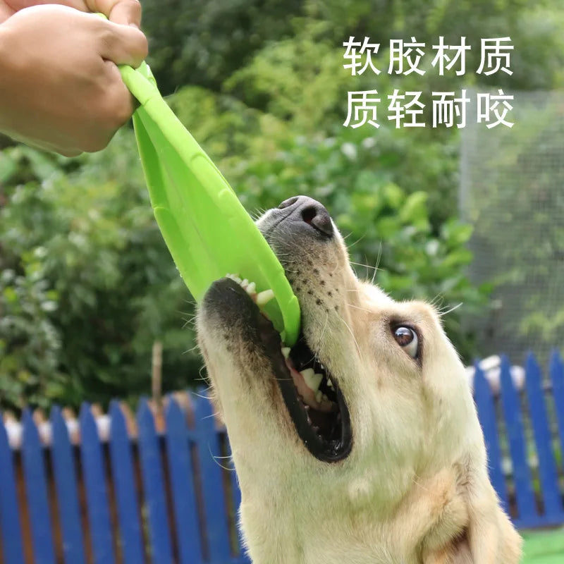 Fly Fetch Disc