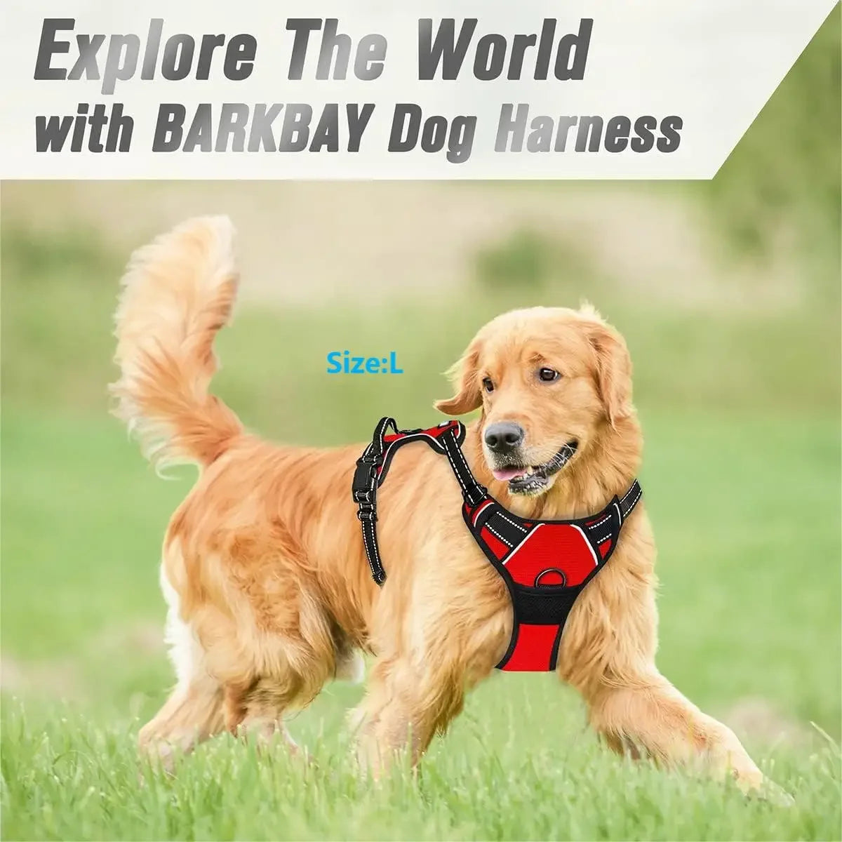 Control Fit Harness