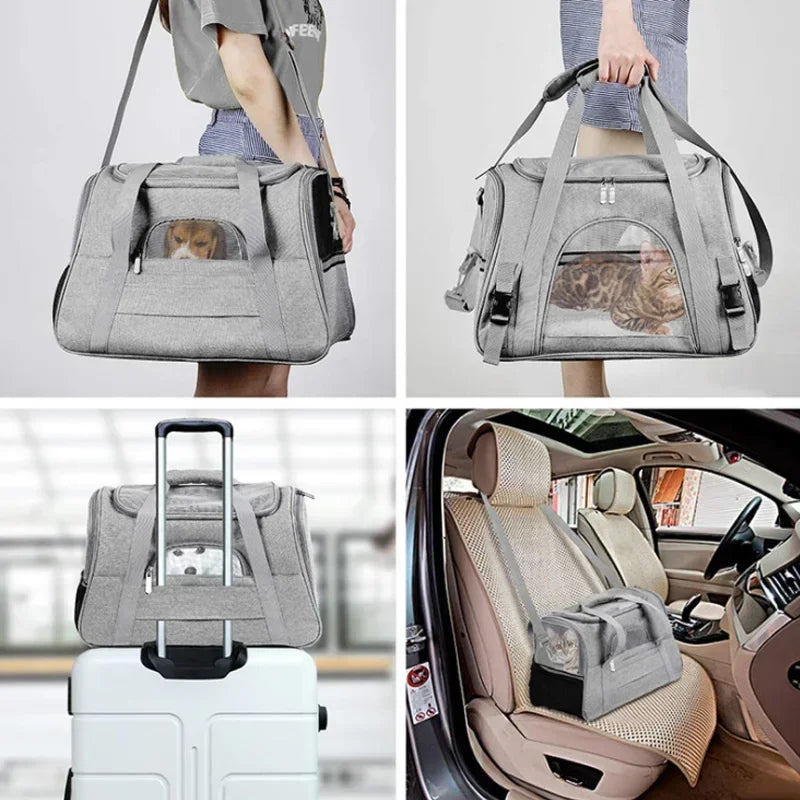 Pawsenger Pro Carrier
