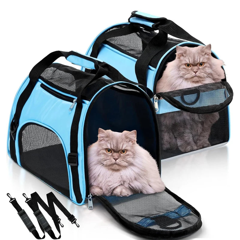 Breathe Easy Carrier