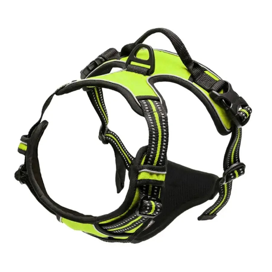 Control Fit Harness