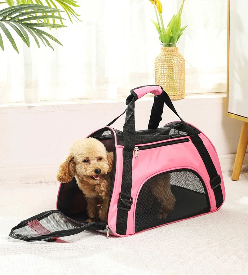 Breathe Easy Carrier