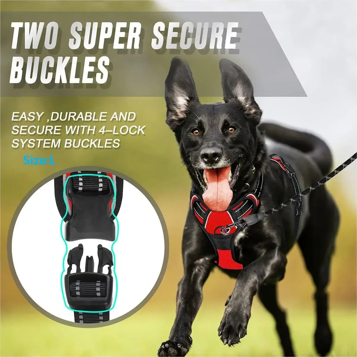 Control Fit Harness