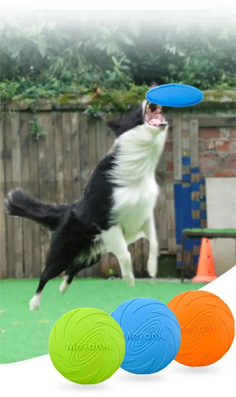 Fly Fetch Disc