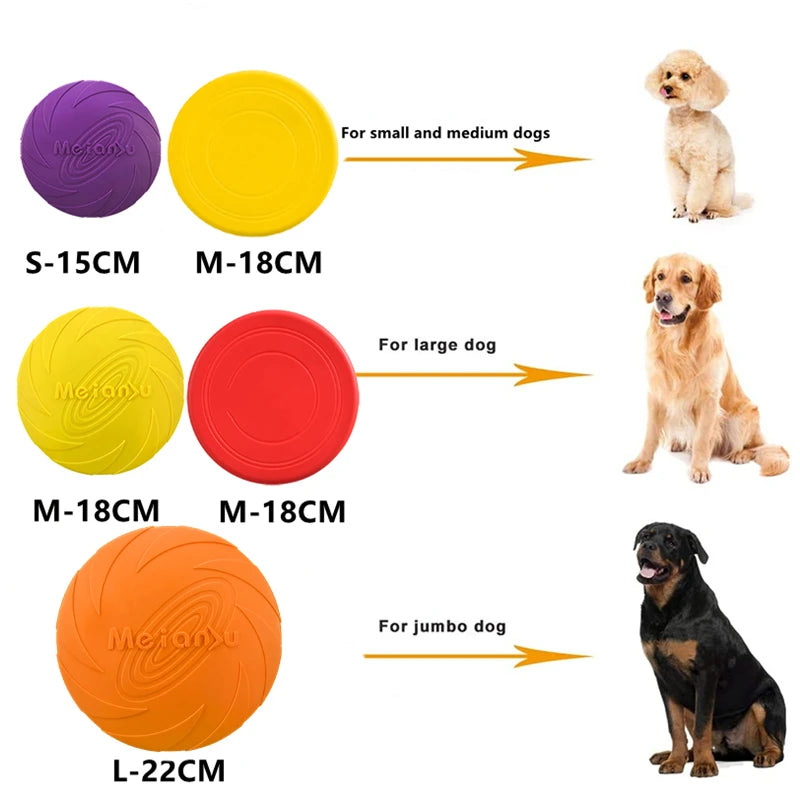 Fly Fetch Disc