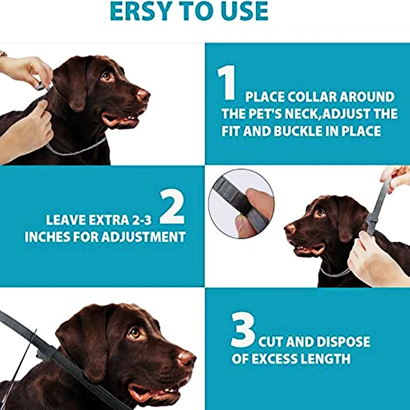 Tick Away Collar