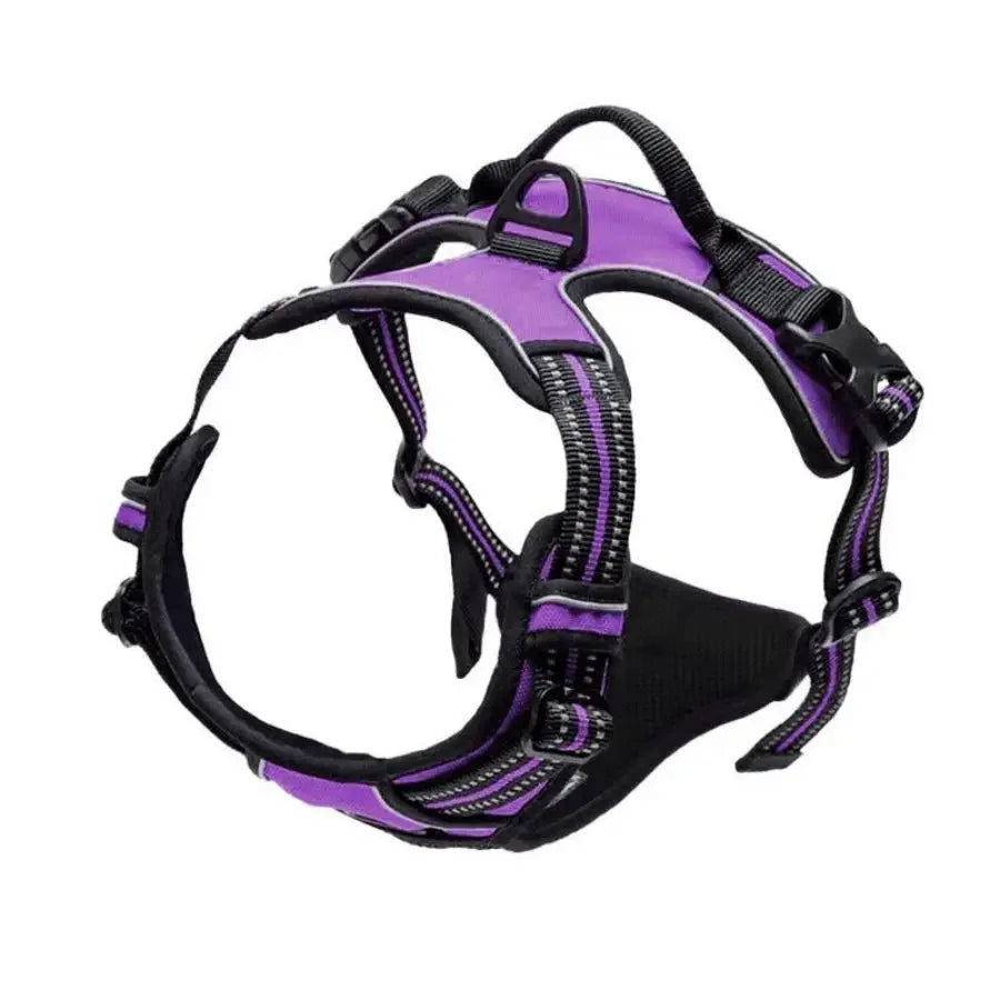 Control Fit Harness