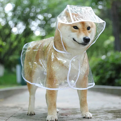 Paws Dry Raincoat