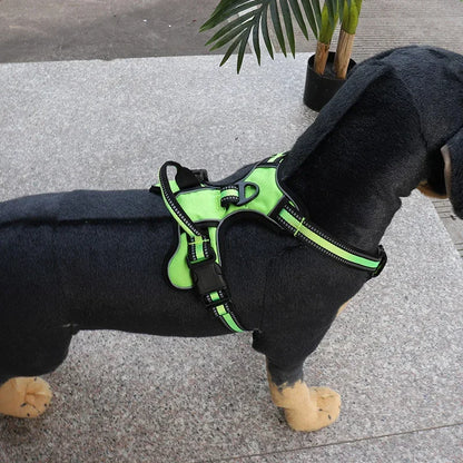 Comfy Control Dog Vest