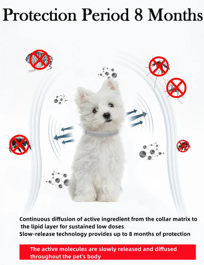 Tick Away Collar