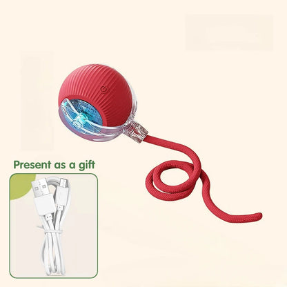 Paw Tease Smart Ball