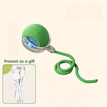 Paw Tease Smart Ball