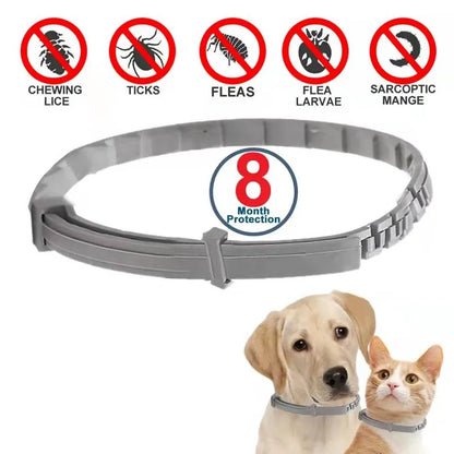 Tick Away Collar