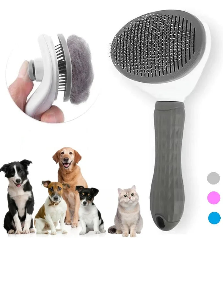 Paw Gleam Brush