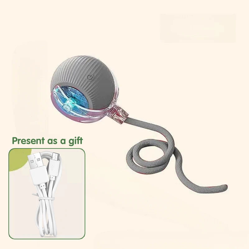 Paw Tease Smart Ball