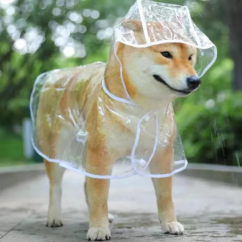 Paws Dry Raincoat