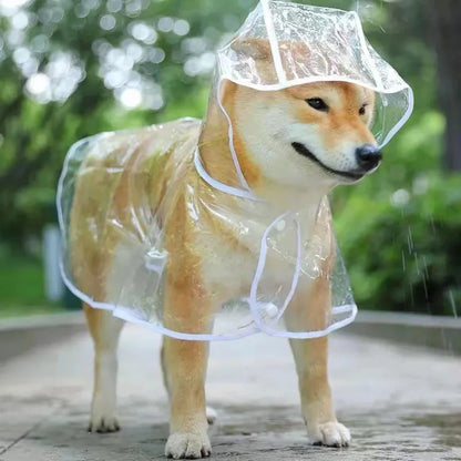 Paws Dry Raincoat