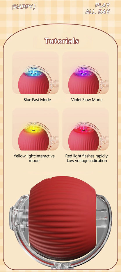 Paw Tease Smart Ball