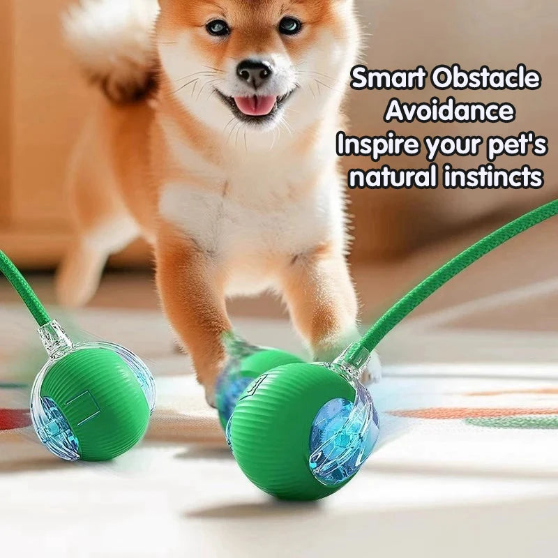 Paw Tease Smart Ball
