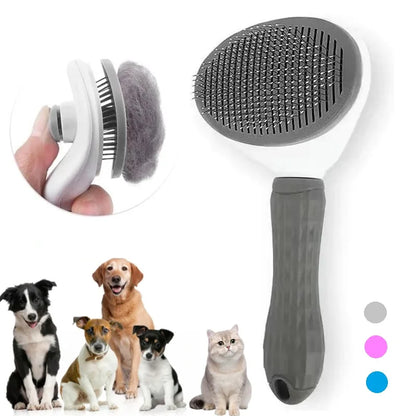 Paw Gleam Brush