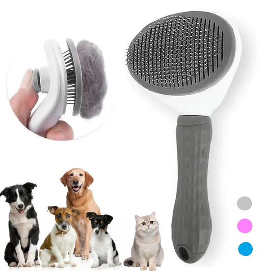 Paw Gleam Brush