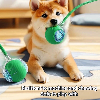 Paw Tease Smart Ball