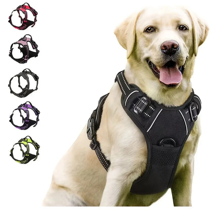 Control Fit Harness
