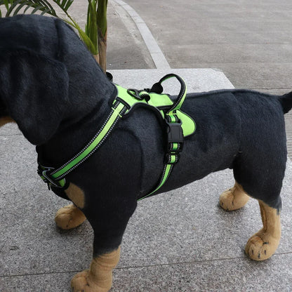 Comfy Control Dog Vest