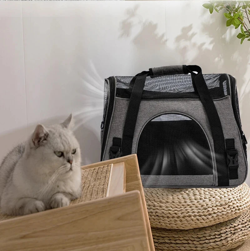 Breathe Easy Carrier