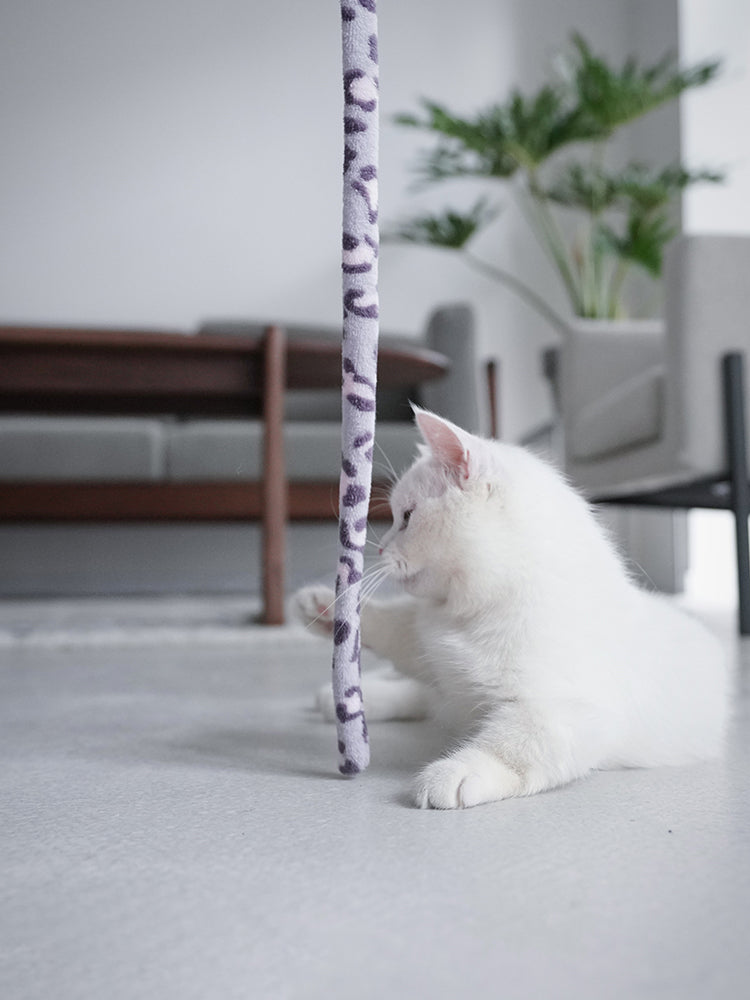 Caterpillar Whisker Toy