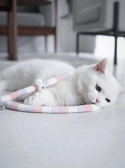 Caterpillar Whisker Toy