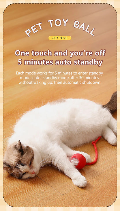Paw Tease Smart Ball