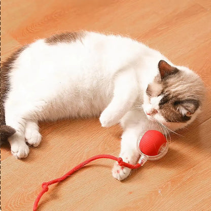 Paw Tease Smart Ball