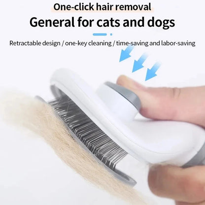 Paw Gleam Brush