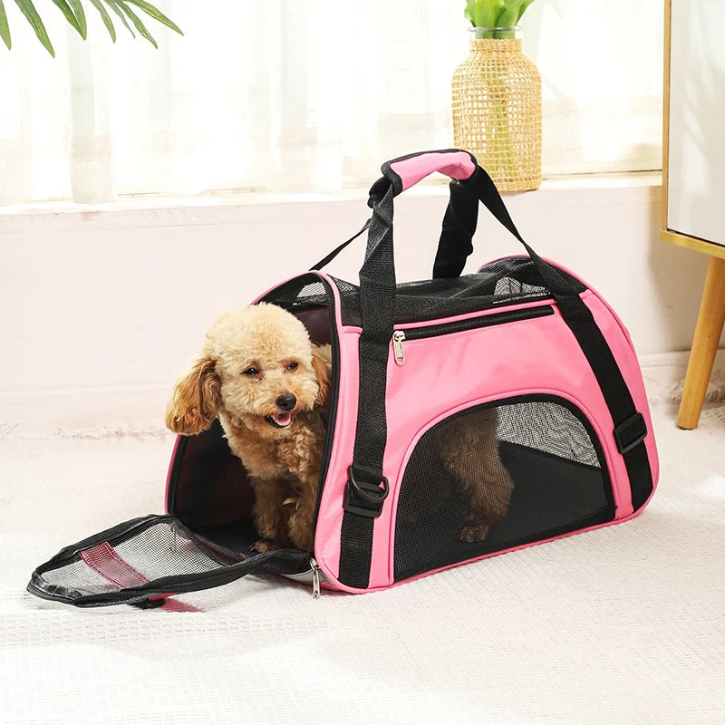 Breathe Easy Carrier