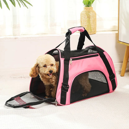 Breathe Easy Carrier