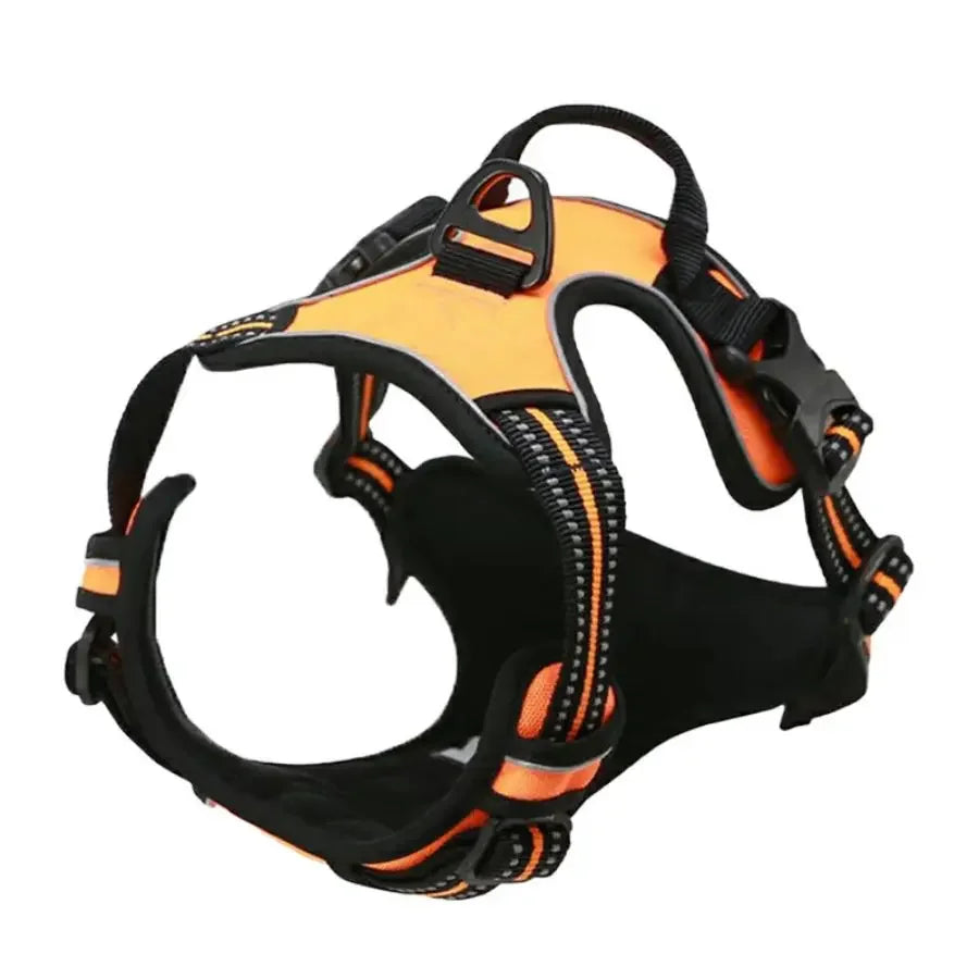 Control Fit Harness