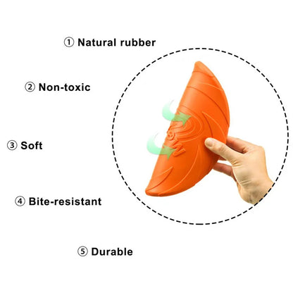 Fly Fetch Disc