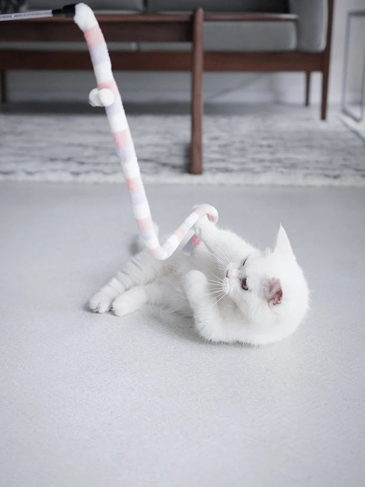 Caterpillar Whisker Toy