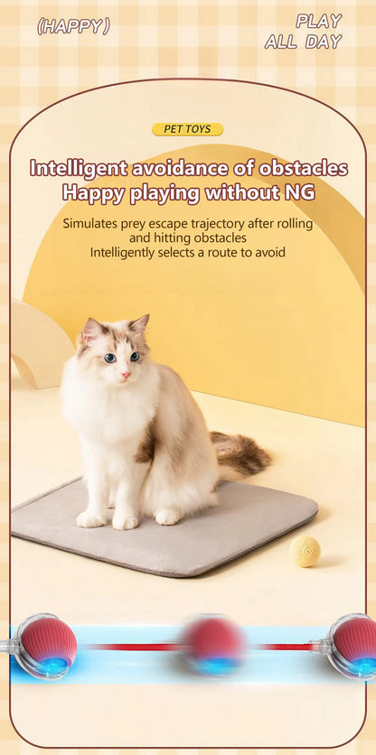 Paw Tease Smart Ball