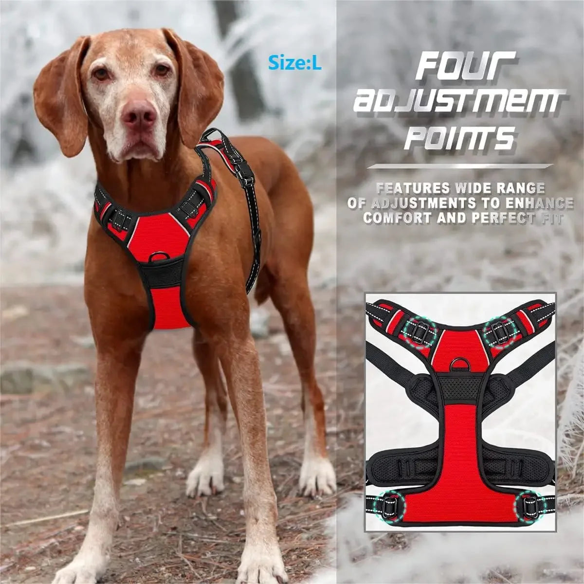 Control Fit Harness