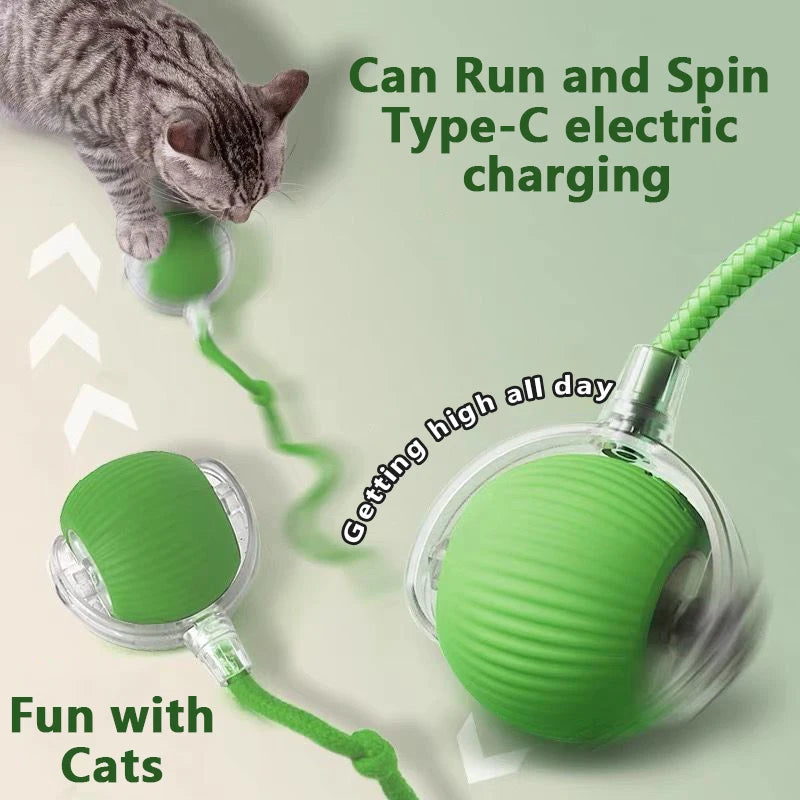 Paw Tease Smart Ball