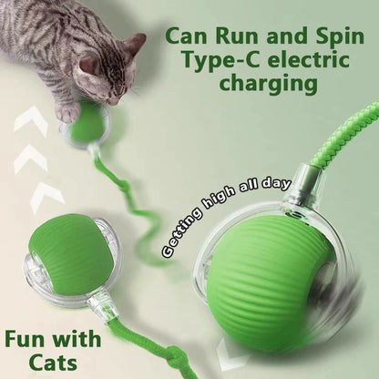 Paw Tease Smart Ball